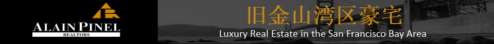 Alain Pinel Properties