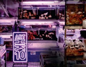 冒险和艺术收藏的机会:艺术港币10 - 五月27日至30日到2010年