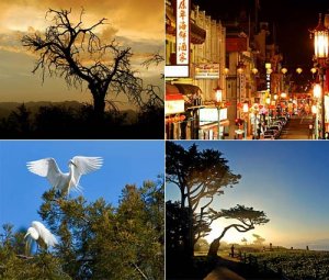 【洛杉矶时报】加州汽车旅行美景指南(第1站到第10站)