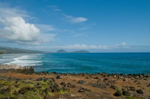 庭院/造景 Grounds