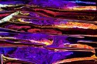 “一束斜照的阳光” - 艺术展